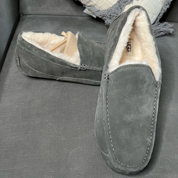 Ascot Slipper UGG - Picture 1 of 5